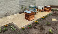 Kimpton and ACC Liverpool Buzzing about Bees: Welcoming 140,000 Honeybees on World Bee Day