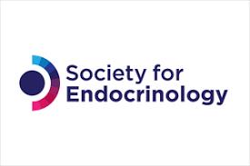 Look & Learn - Society for Endocrinology (SfE) BES Meeting 2025